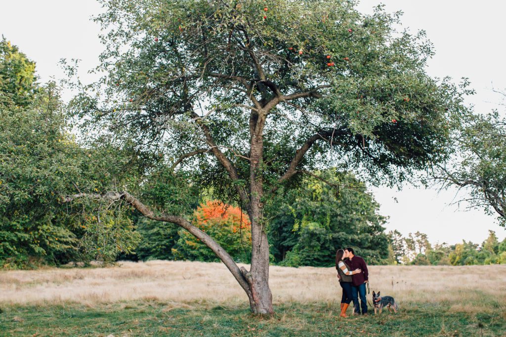 fall engagement photos with dog