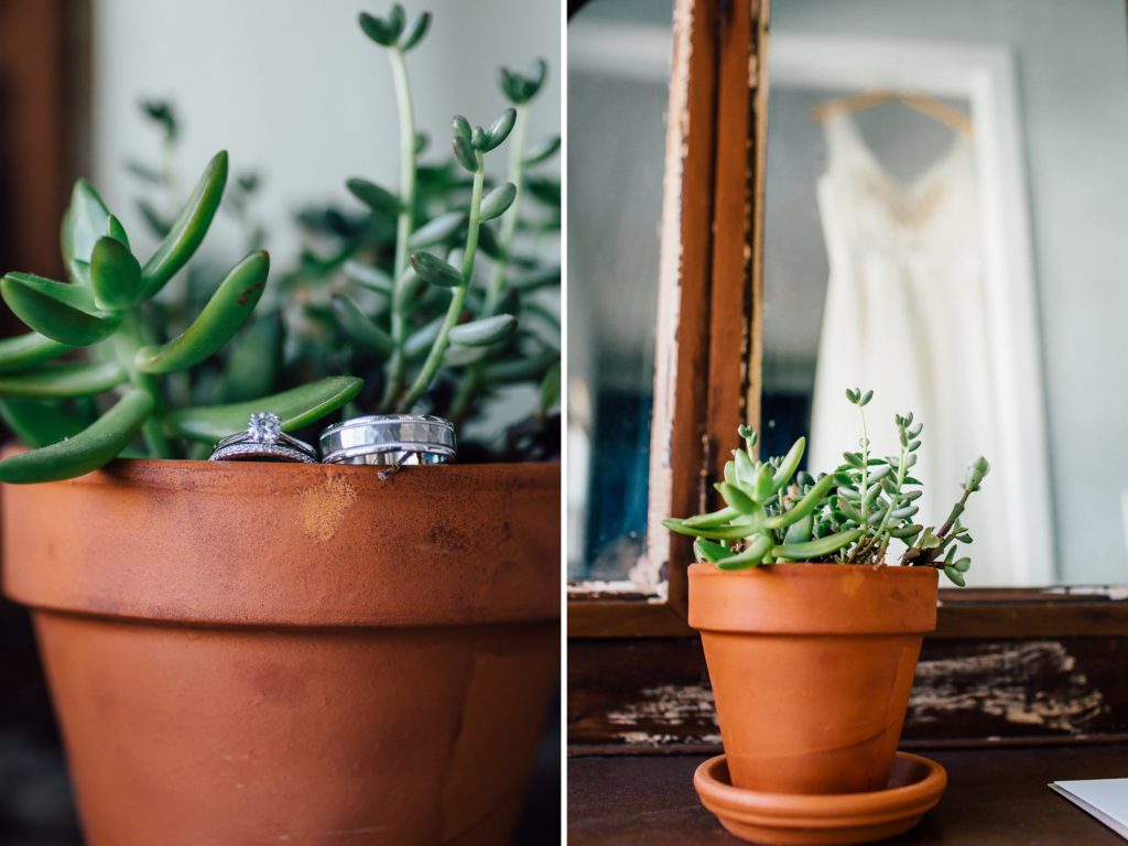 succulents for wedding favors, wedding favor ideas