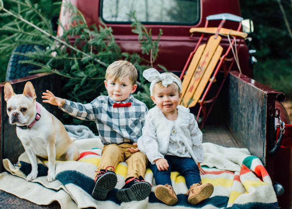 maine family photographer, the maine photo camper, love, maine wedding photographer, maine tinker photography, holiday mini sessions
